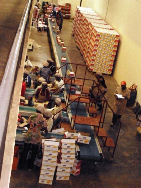 assembly-line-belt-conveyor